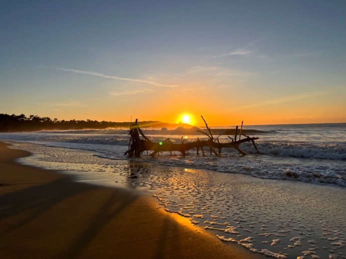 Bild: Kitesurfen und Wingsurfen in Frankreich