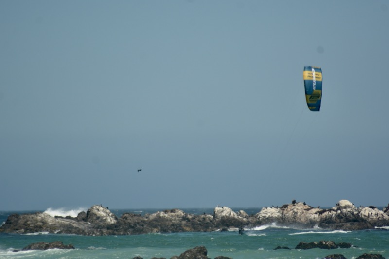 Spotguide Big Bay Kite / Wing