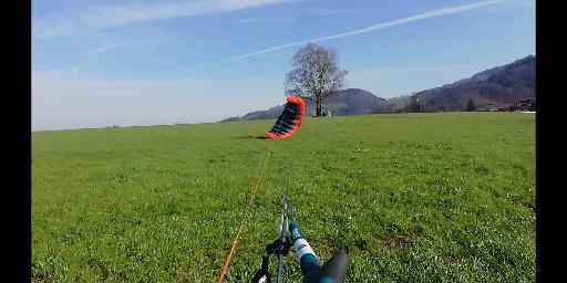 viron3 liegt vor baum